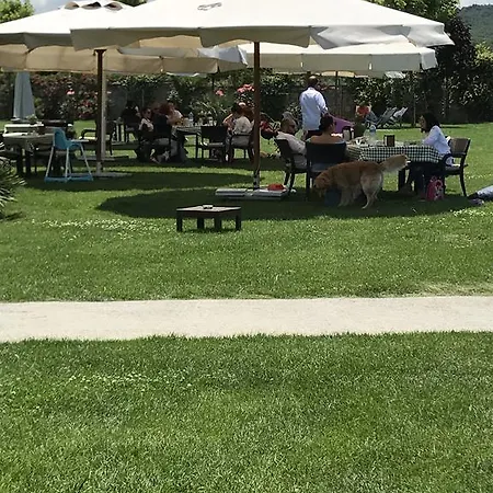 Szálloda Riva's Club 3*