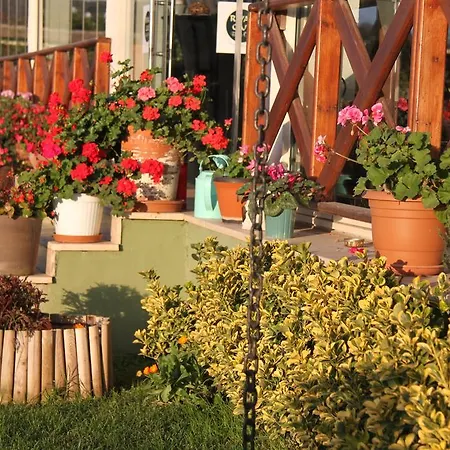 Отель Riva's Club 3*