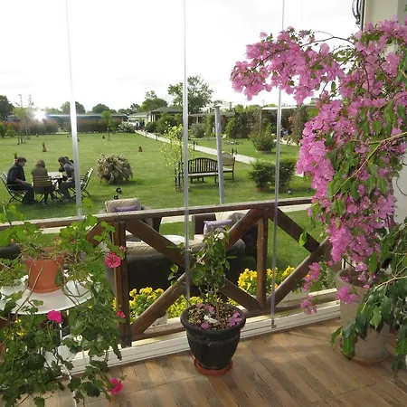 Riva's Club