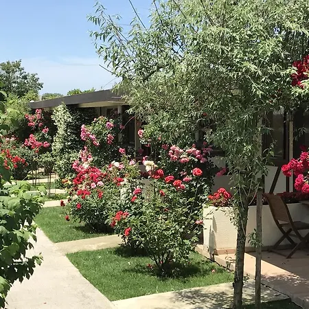 Riva's Club Hotel Hüseyinli