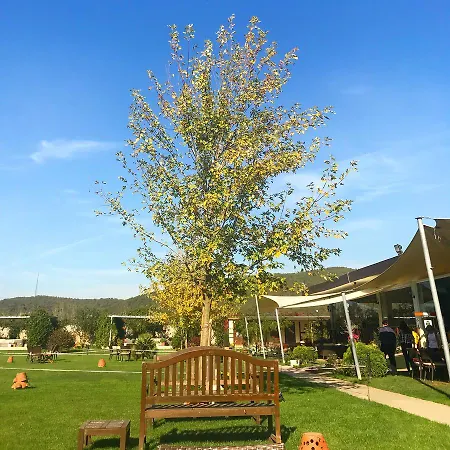 Riva's Club Hotel 3*