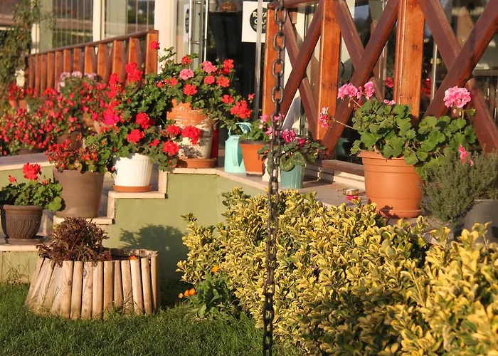 Szálloda Riva's Club 3*