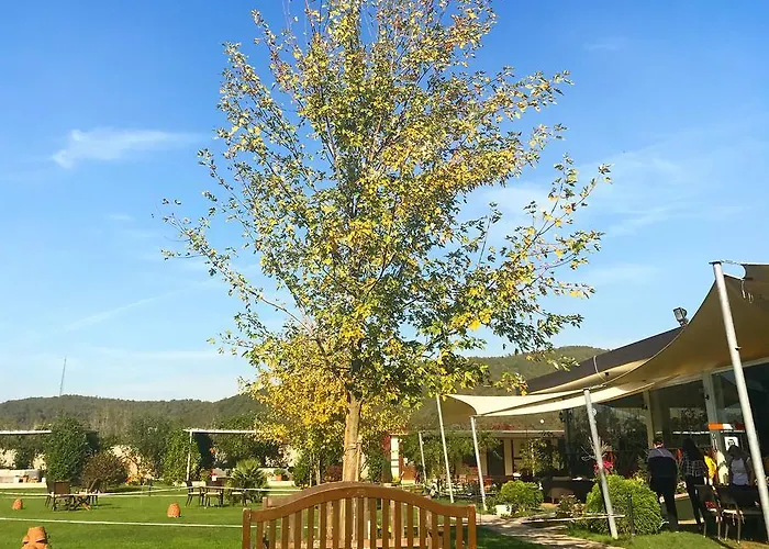 Riva's Club Szálloda 3*